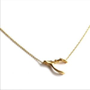 Sideways wishbone necklace